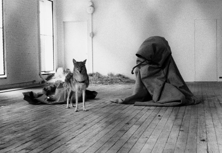 Helyzetben az �llat. R�szlet Joseph Beuys performansz�b�l. Fot�: View from a Burrow