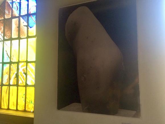 Comb. Testr�sz (?), cca. 1909, m�rv�ny