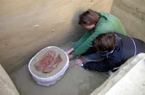 Megfejtett�k a vil�g legr�gibb ikers�rj�nak titkait