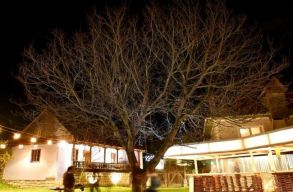 Koncertekkel �s mesterkurzussal� kedveskednek az elmaradt m�rai cs�rfesztiv�l rajong�inak