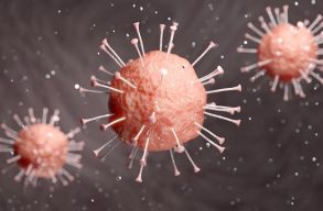 Cs�kszered�ban a fert�z�ttek ar�nya meghaladta a 3 ezrel�ket