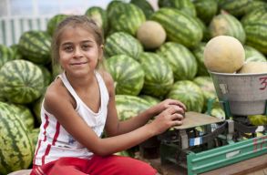 A rom�k s�r�l�kenys�ge: iskola �s munka