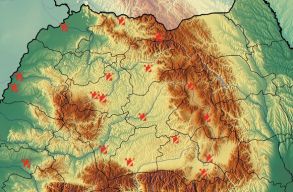 TIFF 2021 - Egy est�re t�nyleg erd�lyi lesz a Transilvania Nemzetk�zi Filmfesztiv�l