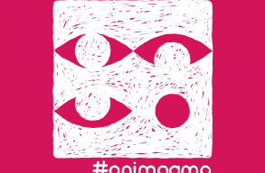 #animagma: ingyenes tehets�ggondoz� programra v�rj�k a jelentkez�ket a sepsiszentgy�rgyi Magm�hoz