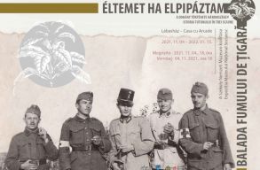 L�togathat� a doh�ny �s a doh�nyz�s kult�rt�rt�neti ki�ll�t�sa a Sz�kely Nemzeti M�zeumban